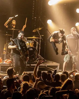 Rainbow Kitten Surprise 