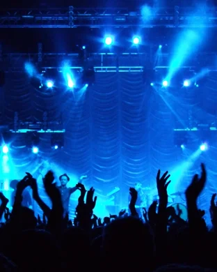 The New York Bee Gees - Bee Gees Tribute