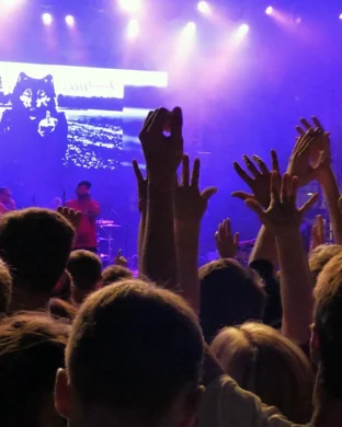 Live concert by Night Moves