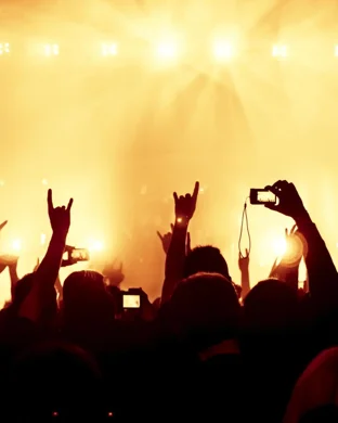 The Funeral Portrait