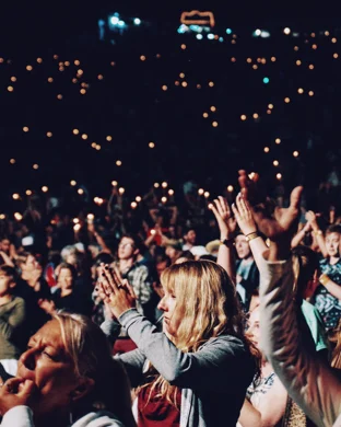 Dogs In A Pile Pittsburgh