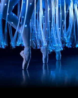 Ballet of Lights