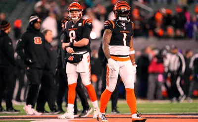 Cincinnati Bengals