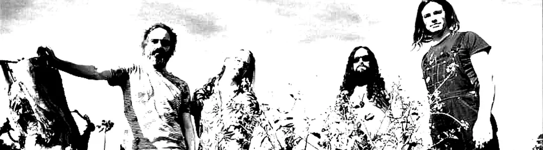 Circles Around The Sun