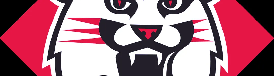 Davidson Wildcats