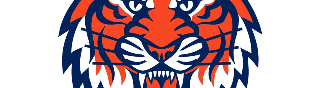 Detroit Tigers