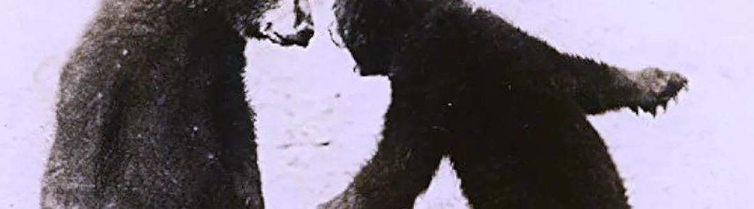 Echo: A Brunch Tribute To The Music of Tom Petty