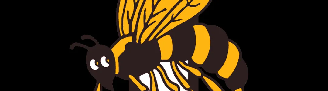 Georgia Tech Yellow Jackets