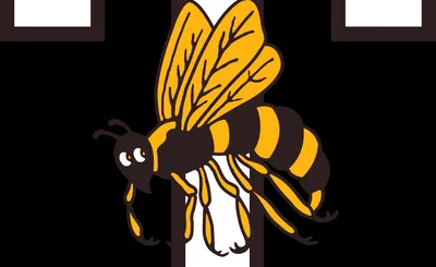 Georgia Tech Yellow Jackets