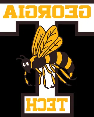Georgia Tech Yellow Jackets