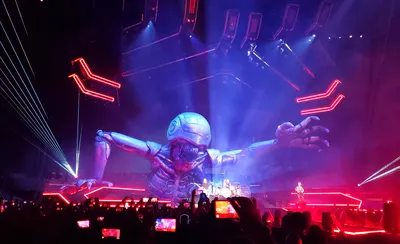 Muse