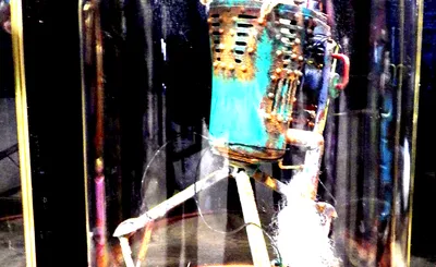 Oddities and Curiosities Expo