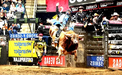 PBR - Professional Bull Riders