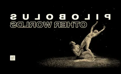 Pilobolus