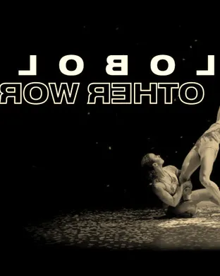 Pilobolus