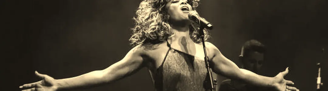 Simply The Best - Tina Turner Tribute