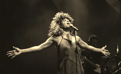 Simply The Best - Tina Turner Tribute