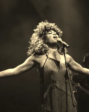 Simply The Best - Tina Turner Tribute