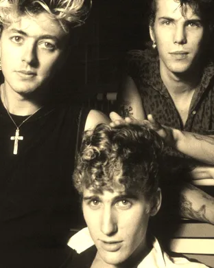 Stray Cats Greensburg