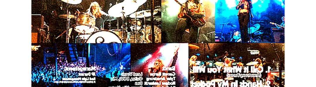 The Band Feel