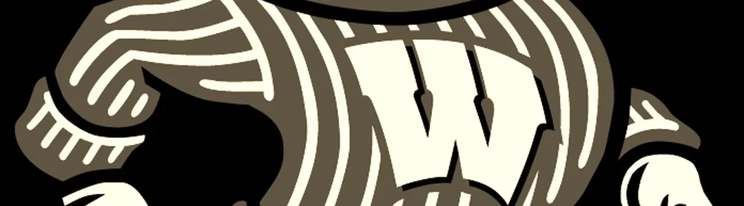 Wisconsin Badgers