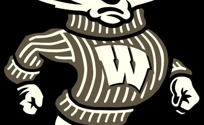 Wisconsin Badgers