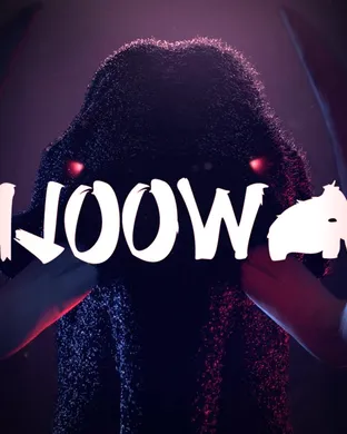 Live concert by Wooli