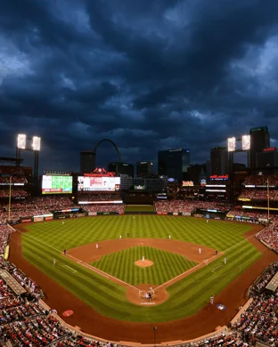 Washington Wild Things Washington