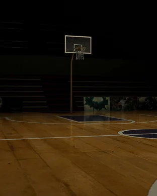 Pittsburgh Panthers Women's Basketball