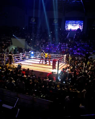 Integrity Pro Boxing