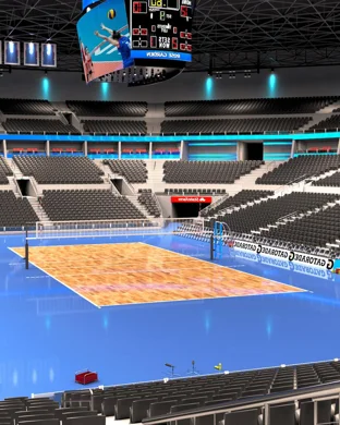 Louisville Cardinals Women's Volleyball